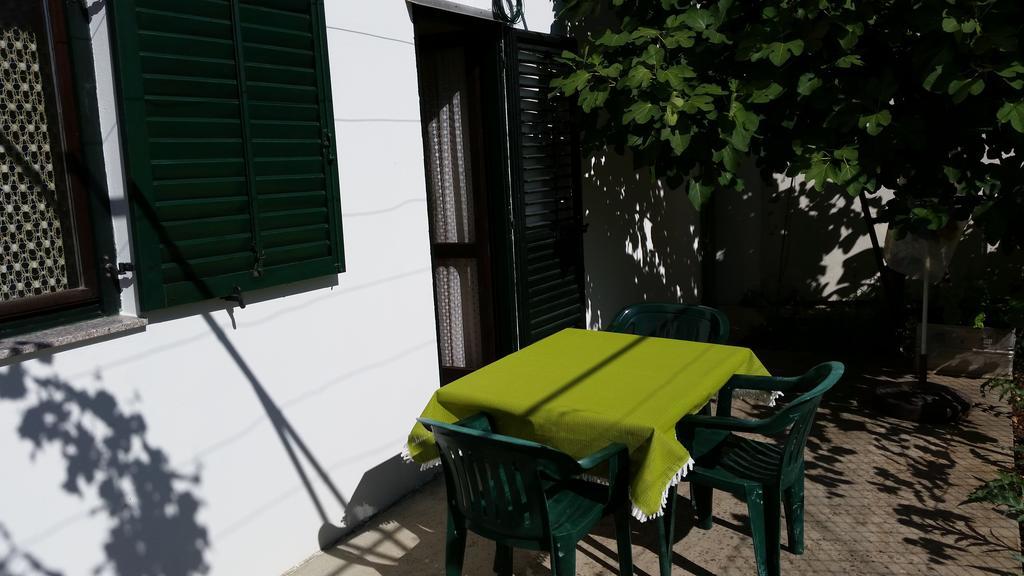 Apartments And Rooms Mirjana Bibinje Ruang foto